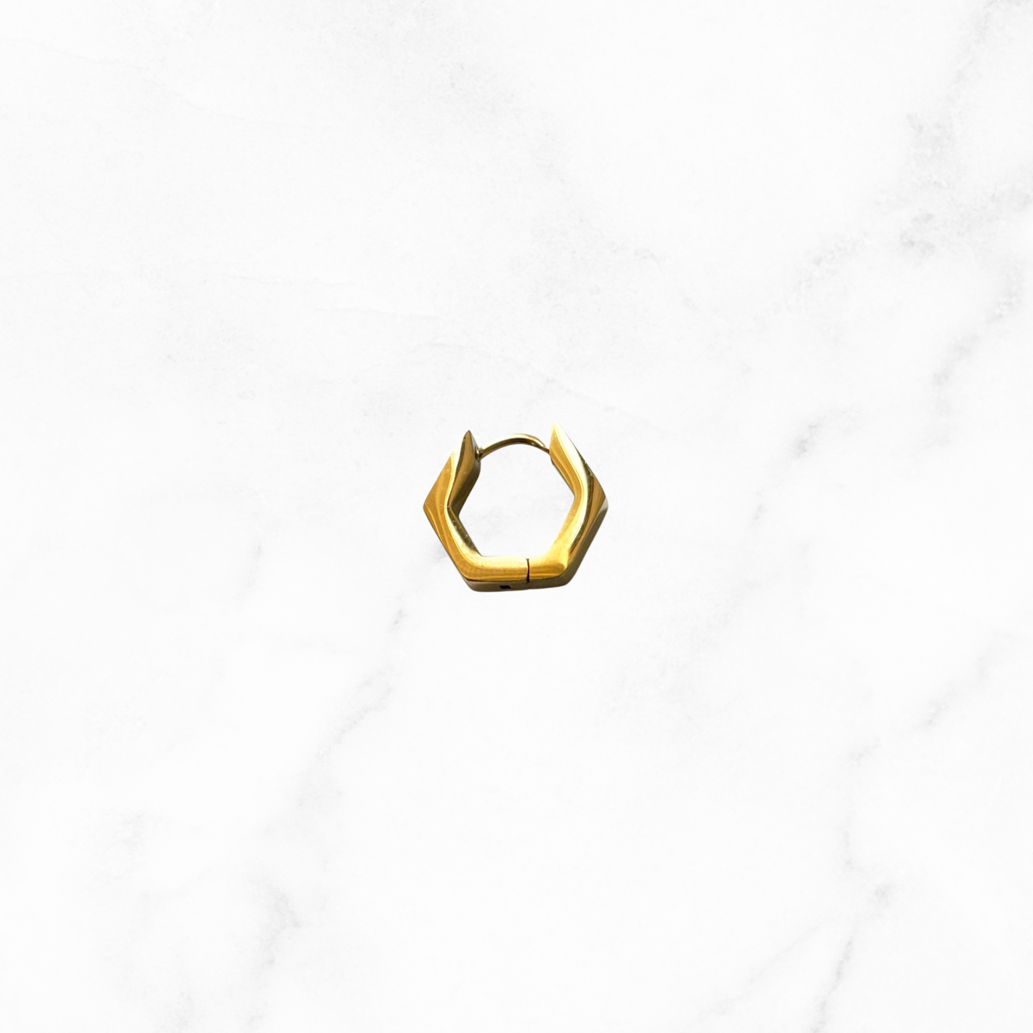 Oorbel Hexagon