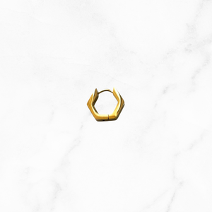 Oorbel Hexagon